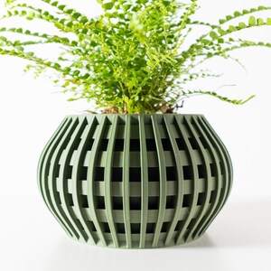 May include: A green, geometric planter with a fern plant growing inside. The planter has a unique, ribbed design.