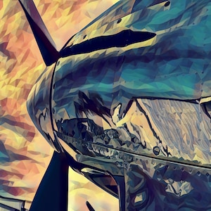 Warhawk Canvas Print