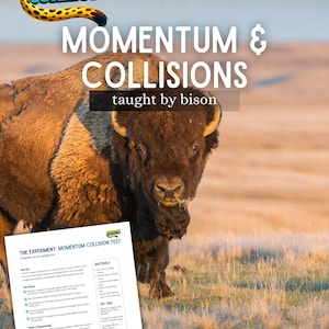 Puede incluir: Un póster de investigación científica sobre "Momentum & Collisions" con una imagen de bisonte. El texto incluye "Creature Curriculum" y "Science Investigation". Una hoja de experimento es visible en primer plano.