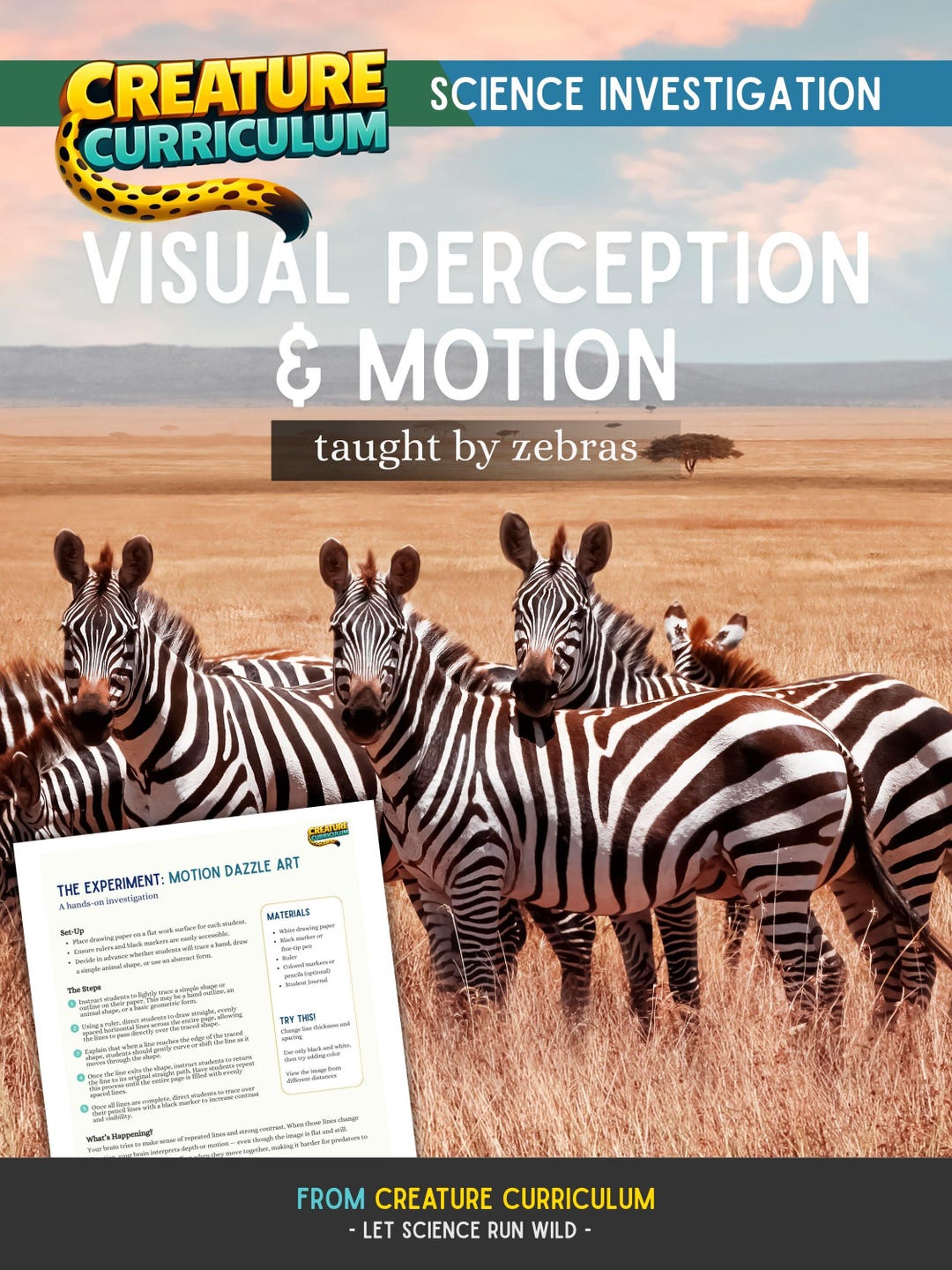 Visual Perception and Motion Science Investigation | Lesson Plan ...