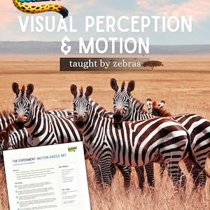 Puede incluir: Póster educativo con cebras en un entorno de sabana. El título dice "VISUAL PERCEPTION & MOTION" y "taught by zebras". Se ve una hoja de experimento detallada, titulada "MOTION DAZZLE ART". También se muestra el texto "CREATURE CURRICULUM".