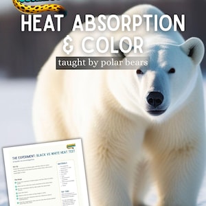 Puede incluir: Un oso polar se encuentra frente a una investigación científica titulada "Absorción de calor y color". El texto "Creature Curriculum" está en la parte superior, con una hoja de experimento científico visible. El experimento es una "Prueba de calor negro vs blanco."