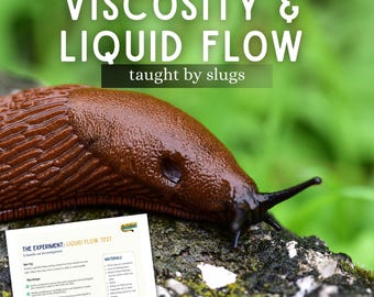 Investigación sobre la viscosidad y el flujo de líquidos - Lección de ciencias - Todo sobre las babosas