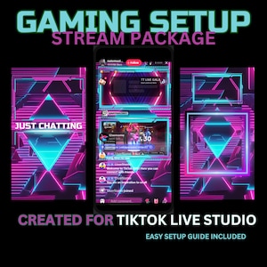 TikTok Live Stream Overlay Pack: Retro Pink & Cyan, Animated Scenes (Digital Download