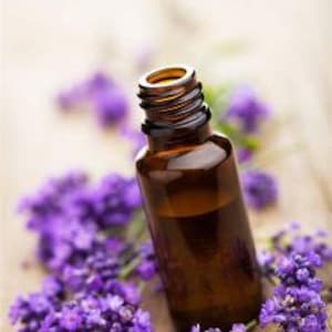 Könnte beinhalten: Eine kleine bernsteinfarbene Glasflasche mit Lavendel-Ätherischem Öl und einem Tropferdeckel, die auf einer Holzoberfläche mit violetten Lavendelblüten liegt.