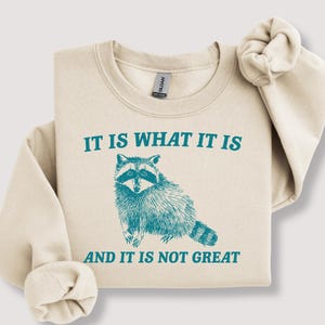 It Is What It Is And It Is Not Great Sweatshirt, Mental Health Sweatshirt, Funny Sweatshirt Women, Meme Sweatshirt, Raccoon Shirt, Gag Tee