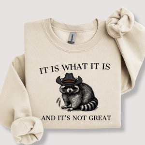 It Is What It Is And It Is Not Great Sweatshirt, Mental Health Sweatshirt, Funny Sweatshirt Women, Meme Sweatshirt, Raccoon Shirt, Gag Tee
