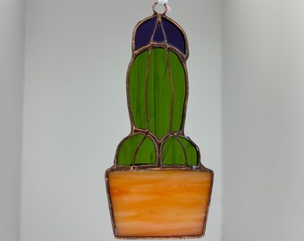 Little Prick Cactus