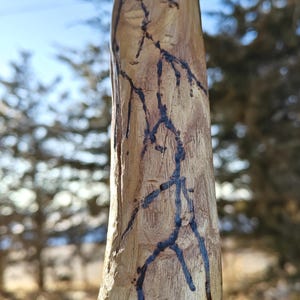 May include: Close-up of a wooden walking stick with black lines running down the length of the stick.