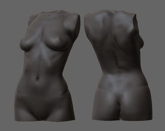 Female torso - stl for printing