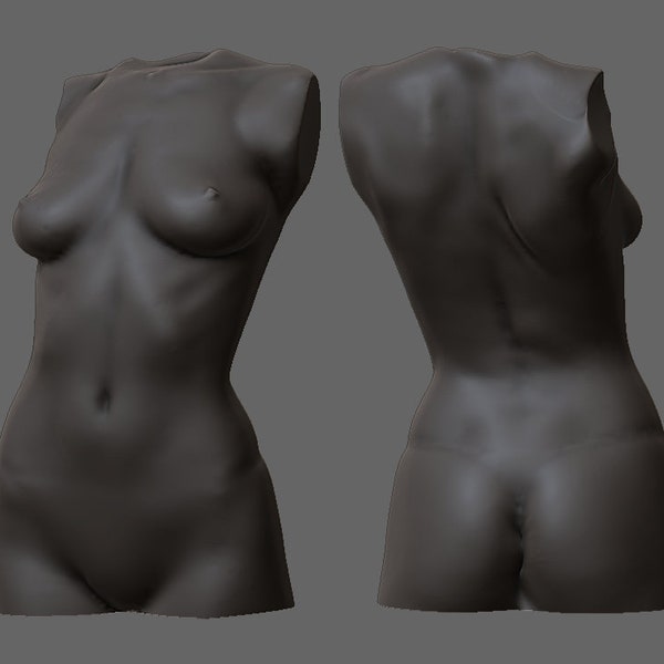 Female torso - stl for printing