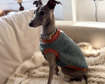 Italian Greyhound - Teal Sleeveless Teddy Vest Crew Neck Style - Etsy