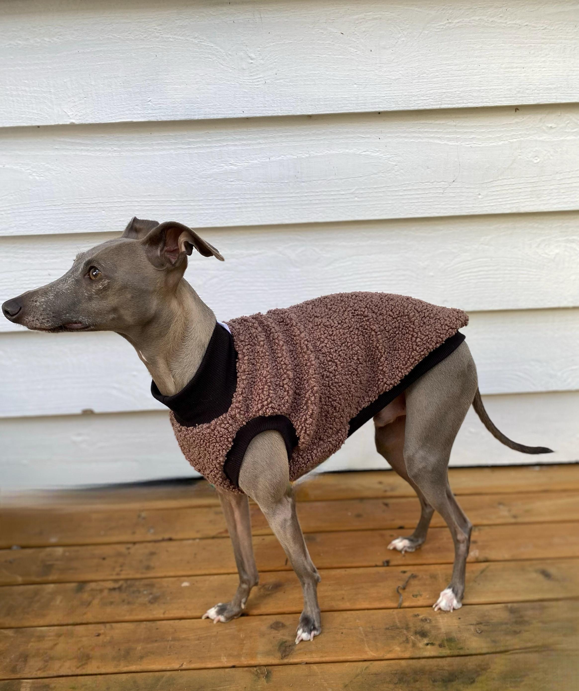 Italian Greyhound - Grape Teddy Vest - Etsy