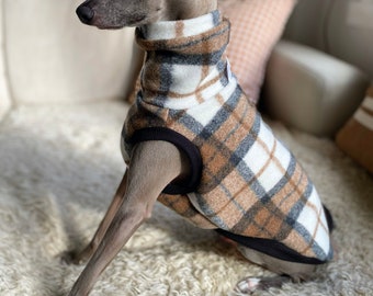 May include: A small, grey and white dog wearing a brown, white, and black plaid fleece sweater with a black collar.