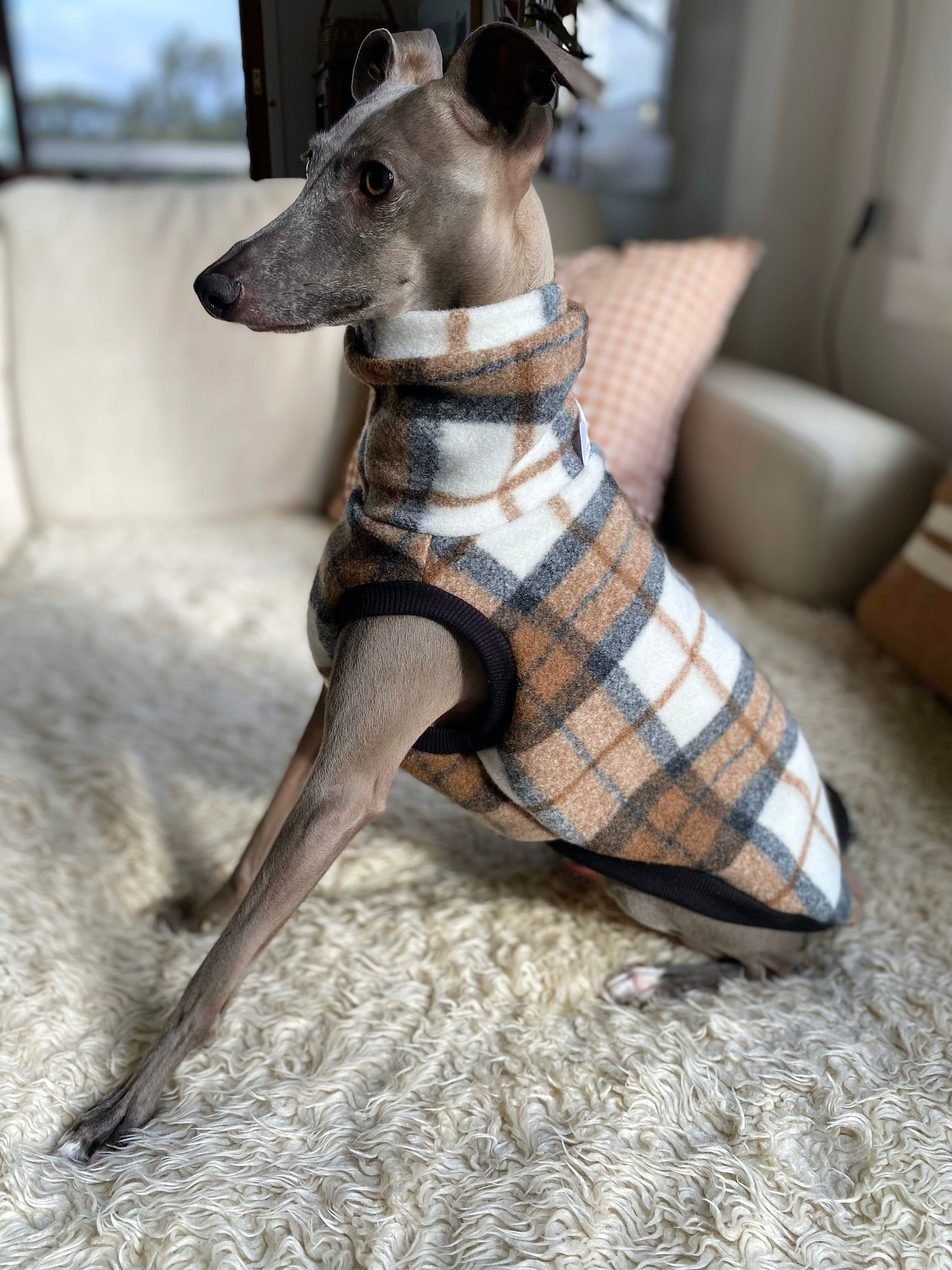 Greyhound Mix Milo Dog Boot Leather Greyhound Collar, Caramel Wide