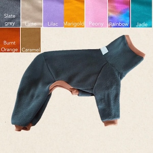 Italian Greyhound - various colours polar fleece full suit