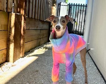 May include: A small, grey and white Italian Greyhound dog wearing a pink, blue and orange tie-dye fleece sweater. The dog is standing on a concrete surface.