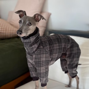 Greyhound Sweater - Etsy