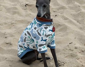 Italian Greyhound - Under the Sea capped sleeve tee shirt
