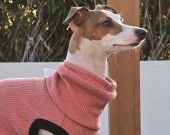 May include: A dog wearing a ribbed, coral-colored turtleneck sweater with black trim around the armholes. The sweater features a high, folded collar and a visible white fabric tag near the neck. The dog has brown and white fur and is facing right.