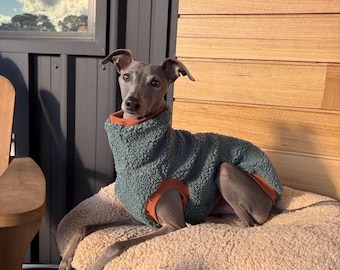 Italian Greyhound - Teal sleeveless teddy vest turtleneck