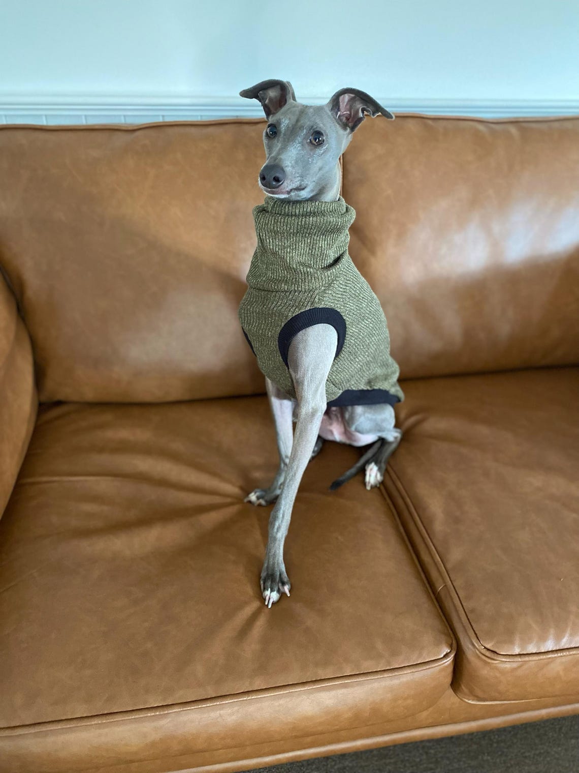 Italian Greyhound - Moss Sleeveless Rib Vest - Etsy