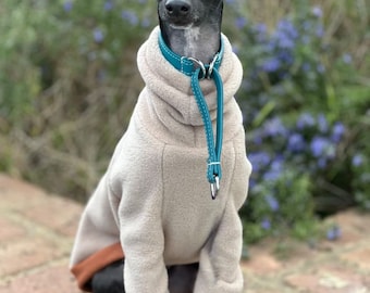 Italian Greyhound - Latte polar fleece