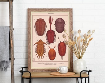 Trilobites Art Print | Cambrian Wall Art | Nature Art Poster | Original Artwork | High Quality Printable Poster | DigitalPrint | A3