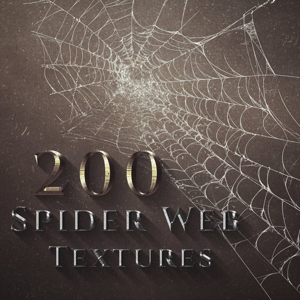 200 4k Spinnennetz Texturen Overlay, Photoshop PNG Vorlage für Photoshop