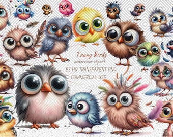Paquete de 52 imágenes PNG de aves divertidas en acuarela (descarga digital)