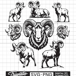May include: A collection of black and white ram illustrations in various poses. The images include full body views, headshots, and a central face-on portrait. The bottom banner reads "Trianatio SVG PNG DIGITAL DOWNLOAD."