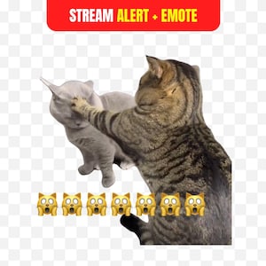 Animerade Twitch-varningar Kattknackning Mild klappning på huvudet Söt meme för streamers OBS-spark YouTube-dekoration Belöningskanal för begåvade prenumeranter Poängvarning