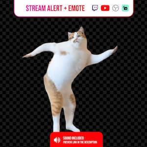 Puede incluir: Un gato blanco y naranja en pose de baile, con los brazos extendidos. La imagen incluye texto en la parte superior que dice "STREAM ALERT + EMOTE" y un cuadro rojo en la parte inferior con el texto "SOUND INCLUDED".