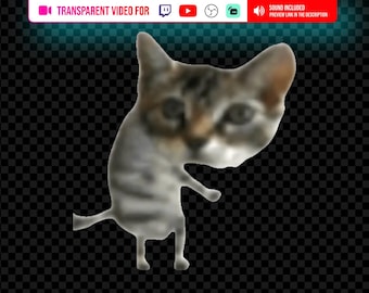 Dancing Cat Twitch Stream Alerts WEBM GIF - Funny Animated Cat Meme Alert Widget Overlay for StreamLabs OBS YouTube Gaming Streamers