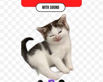 Happy Kitten Smug Stream Alert + Emote | Funny Content Sound Alert for Twitch Kick OBS | Cute Cat Meme Reaction Overlay