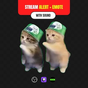 Puede incluir: Un gráfico digital con dos gatitos de pie, cada uno con un envase de yogur verde como sombrero. La franja roja superior muestra el texto STREAM ALERT + EMOTE y WITH SOUND. Debajo de los gatitos hay iconos de las plataformas OBS, Twitch y Kick.