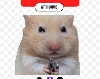 Crying Hamster Gun Stream Alert + Emote | Funny Dramatic Sound Alert for Twitch Kick OBS | Sad Hamster Meme Reaction Overlay