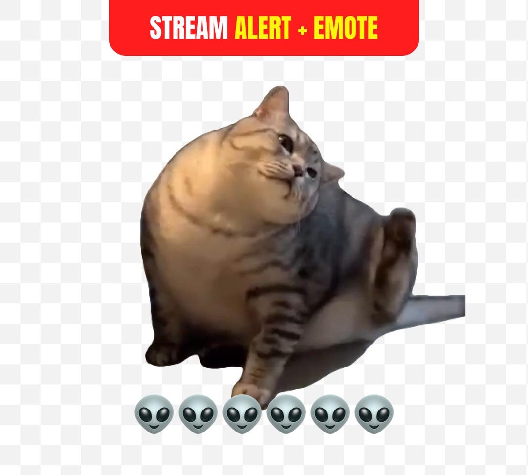 Fun Alert Meme Animated Twitch Alert Glitch Cat Scratching Air Meme Funny Brain Lag ...