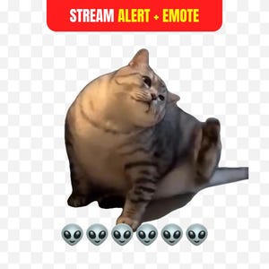 以下が含まれることがあります： 猫が体を掻いている画像。上部には「STREAM ALERT + EMOTE」と書かれた赤いバナーがあり、猫の下には6つのエイリアン絵文字があります。