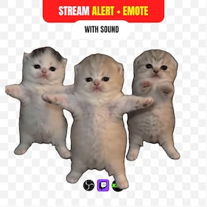 Dansande kattströmningsalarm + emote, söt kattungevågalarm med ljud, rolig meme-överlägg med Twitch, animerad OBS-spark, kattklappalarm