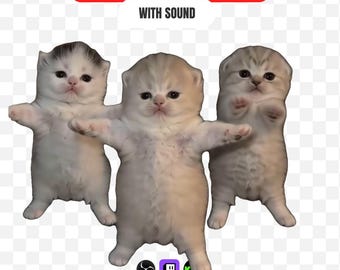 Dancing Cat Stream Alert + Emote, Cute Kitten Wave Alert with Sound, Funny Meme Twitch Overlay, Animated OBS Kick Cat Clap Alert