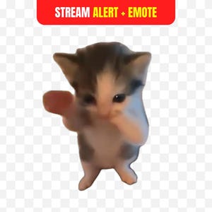 May include: A small kitten with gray and white fur is standing and appears to be dancing. The kitten is holding up one paw. A red banner at the top reads "STREAM ALERT + EMOTE".
