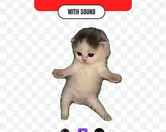 Dancing Cat Stream Alert & Emote with Sound | Funny Vibing Kitten Reaction | Twitch Kick Discord OBS
