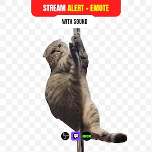 Puede incluir: Un gato atigrado gris y blanco aferrado a un poste metálico vertical. Sobre el gato, una pancarta roja dice STREAM ALERT + EMOTE y una blanca dice WITH SOUND. Debajo del gato hay tres pequeños iconos para OBS, Twitch y Kick.