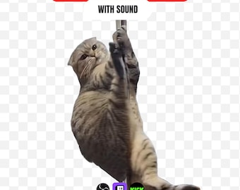 Animated Pole Dancing Cat Stream Alert Twitch Emote Funny Cat Meme Stream Overlay for Kick OBS New Follower Subscriber Alert Sound