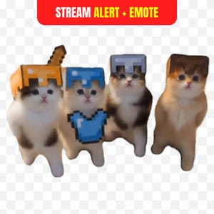Minecraft Cat Stream Alert Emote | Funny Pixel Kitten Dancing Twitch Alert | Gamer Cat Emote Pack | OBS Animated Gaming Overlay Meme