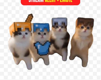 Minecraft Cat Stream Alert Emote | Funny Pixel Kitten Dancing Twitch Alert | Gamer Cat Emote Pack | OBS Animated Gaming Overlay Meme