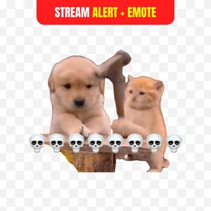 May include: A digital illustration featuring a puppy and a kitten, with a row of white skull emojis below. The image has a red banner at the top with the text "STREAM ALERT + EMOTE".