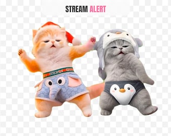 Funny Dancing Cat Meme Stream Alert for Twitch Kick YouTube | Animated Cute Cat Music Music Music Dance Alert Channel Rewards OBS Widget