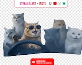 Cool Cats Driving Stream Alert + Emote Set | Funny Cat Crew Twitch Alert | Discord Kick Emotes | Squad Goals Animation Stream Overlay
